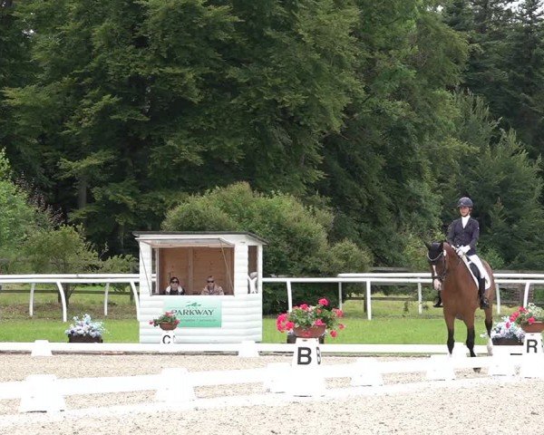 Reitturnier Grüningen 2024
