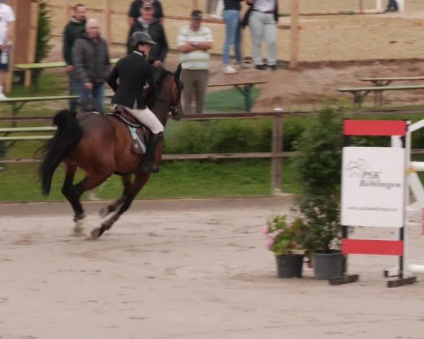 Reitturnier Waldenbuch-Hasenhof 2024