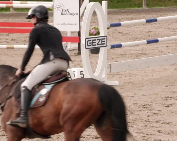 Reitturnier Waldenbuch-Hasenhof 2024