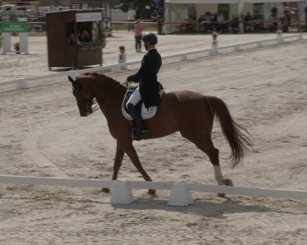 Reitturnier Holschdubrau 2024
