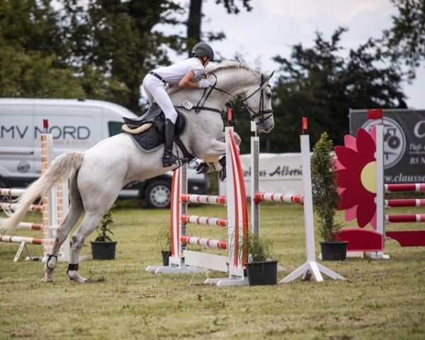 jumper Dincas (Holsteiner, 2016, from Dinken)