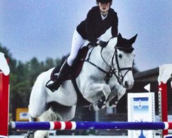 jumper Mosstown Smirnoff (Irish horse, 2001)