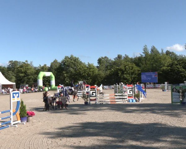 Reitturnier Großenwiehe 2024