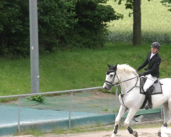 Reitturnier Harsum-Hüddessum 2024