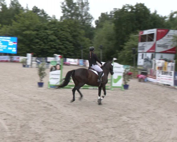 Reitturnier Großenwiehe 2024