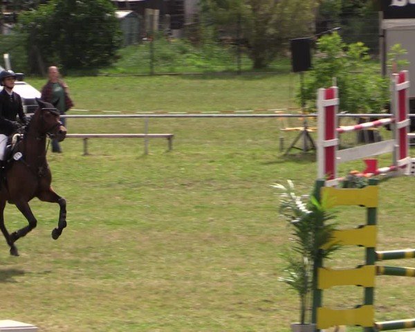 Reitturnier Uenze 2024