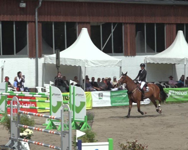 Reitturnier Breitenburg 2024