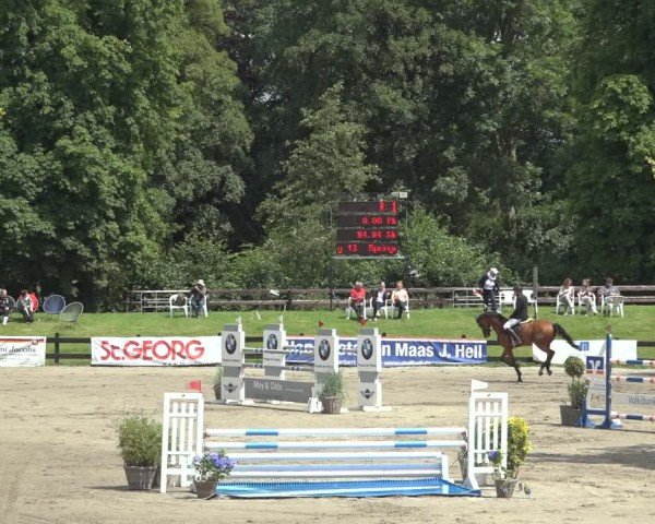 Reitturnier Breitenburg 2024