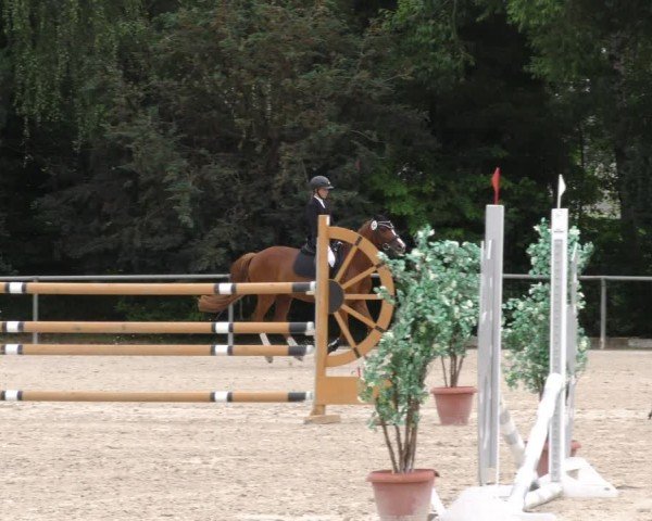 Reitturnier Mitwitz/Ofr. 2024