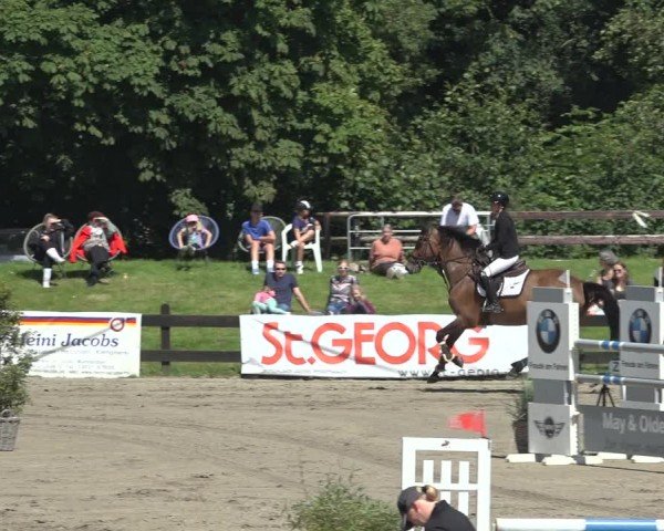 Reitturnier Breitenburg 2024