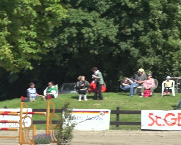 Reitturnier Breitenburg 2024