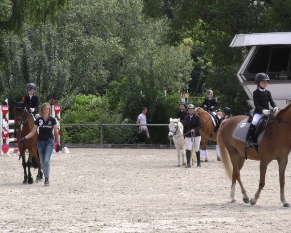 Reitturnier Mitwitz/Ofr. 2024