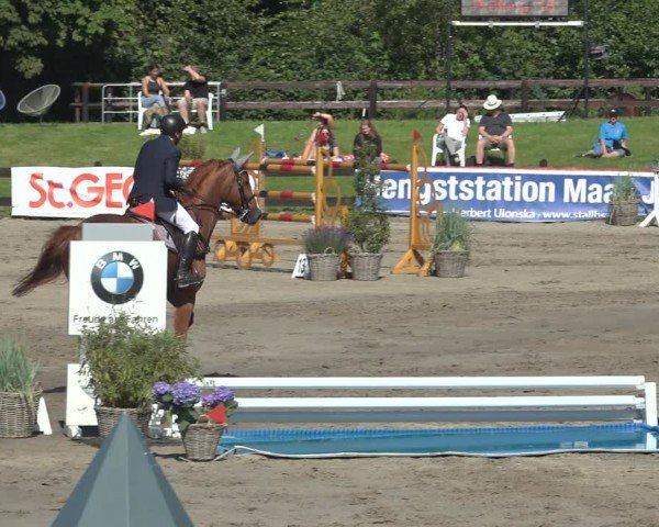 Reitturnier Breitenburg 2024