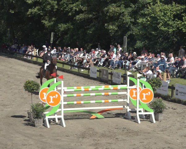 Reitturnier Breitenburg 2024