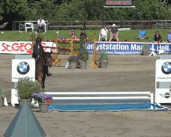 Reitturnier Breitenburg 2024