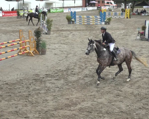 Reitturnier Breitenburg 2024