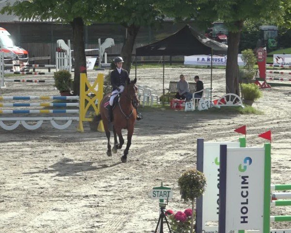 Reitturnier Breitenburg 2024