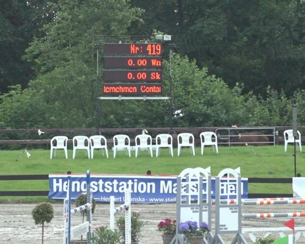 Reitturnier Breitenburg 2024