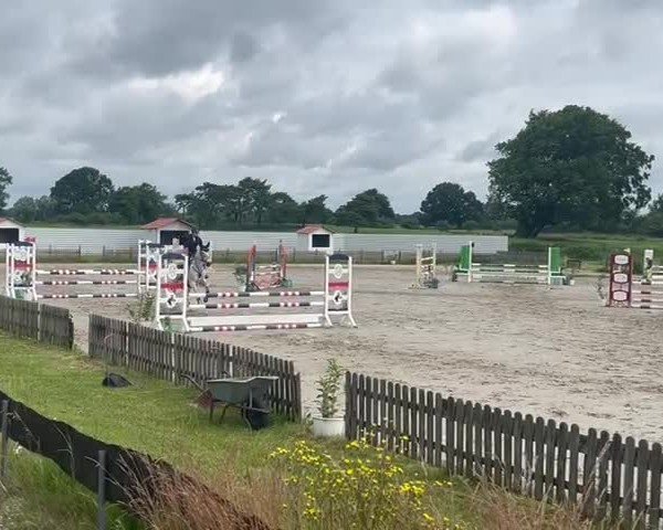 Reitturnier Breiholz "Am Moltkestein" 2024