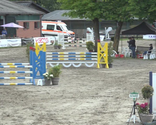Reitturnier Breitenburg 2024