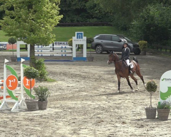 Reitturnier Breitenburg 2024