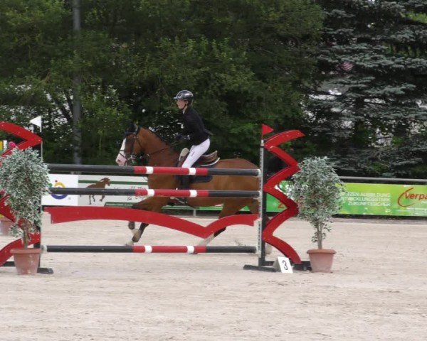 Reitturnier Mitwitz/Ofr. 2024