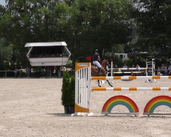 Reitturnier Mitwitz/Ofr. 2024