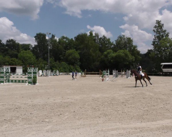 Reitturnier Mitwitz/Ofr. 2024