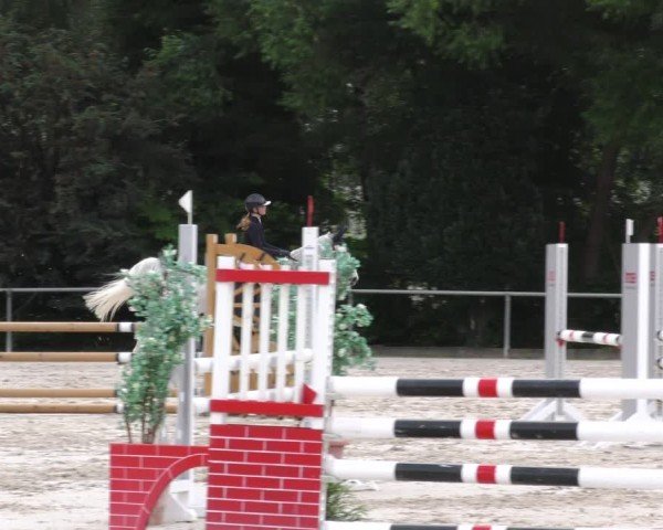 Reitturnier Mitwitz/Ofr. 2024