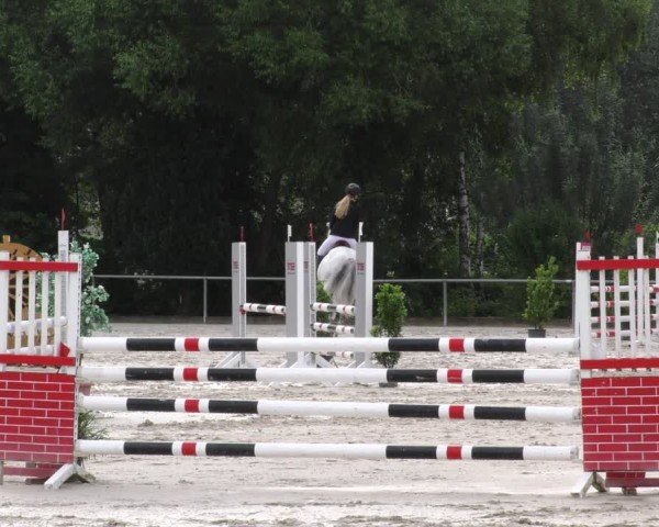 Reitturnier Mitwitz/Ofr. 2024