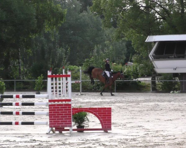 Reitturnier Mitwitz/Ofr. 2024