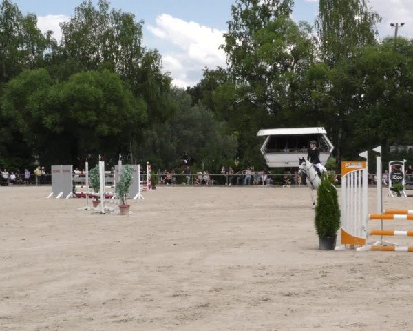 Reitturnier Mitwitz/Ofr. 2024