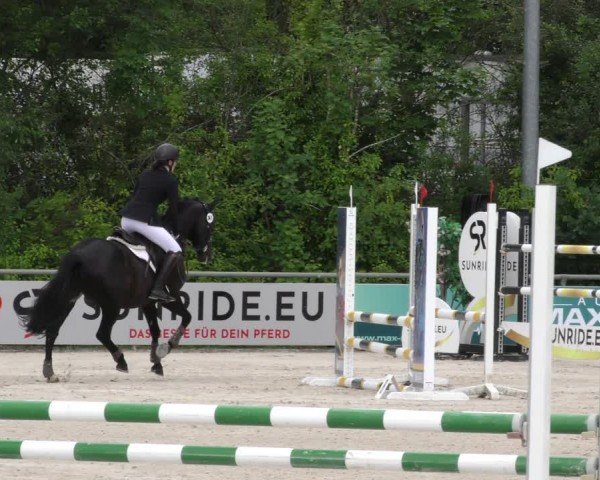 Reitturnier Mitwitz/Ofr. 2024