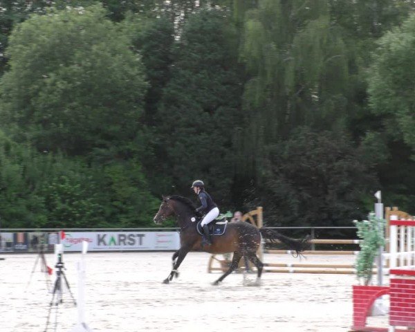 Reitturnier Mitwitz/Ofr. 2024