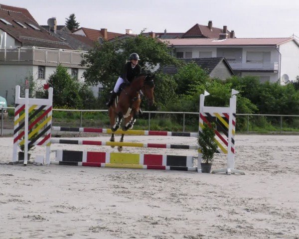 Reitturnier Mitwitz/Ofr. 2024