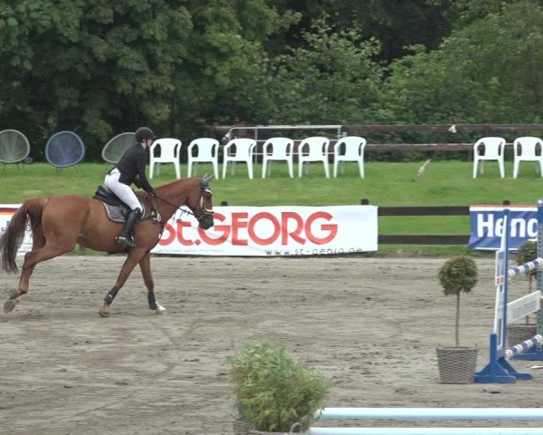 Reitturnier Breitenburg 2024