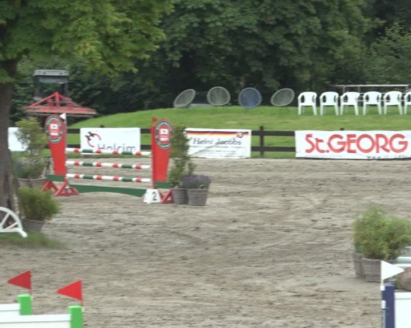 Reitturnier Breitenburg 2024