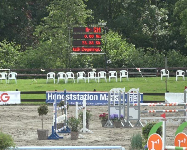 Reitturnier Breitenburg 2024