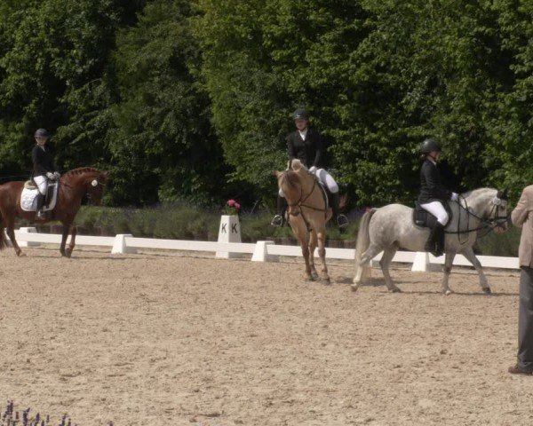 Reitturnier Lindlar - Reitanlage Dückers 2024