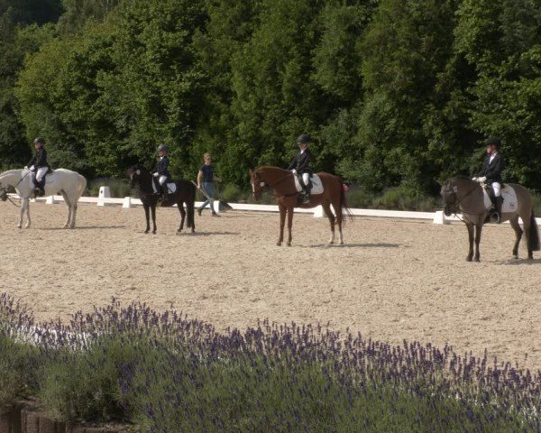 Reitturnier Lindlar - Reitanlage Dückers 2024