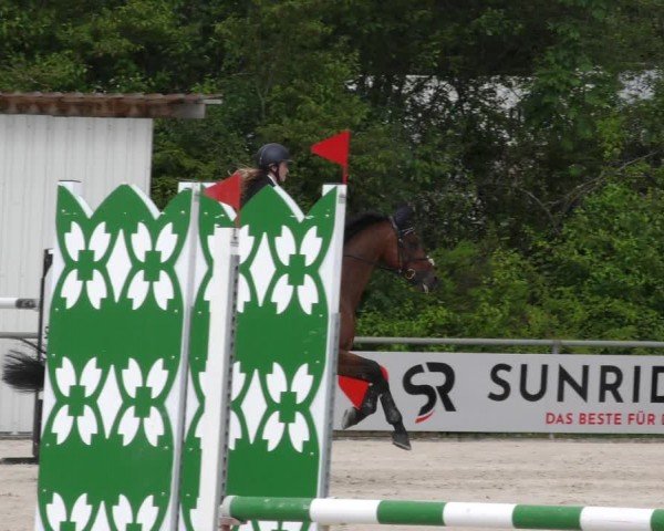 Reitturnier Mitwitz/Ofr. 2024