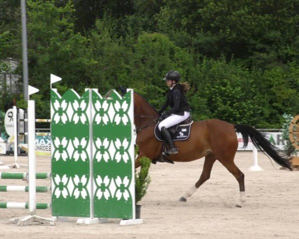 Reitturnier Mitwitz/Ofr. 2024