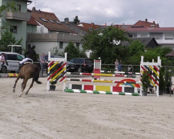 Reitturnier Mitwitz/Ofr. 2024