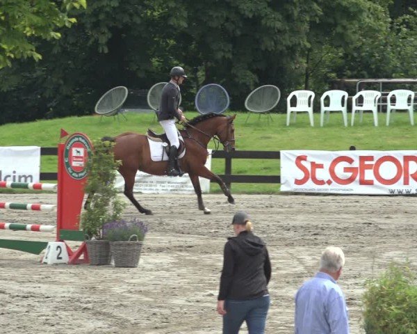 Reitturnier Breitenburg 2024