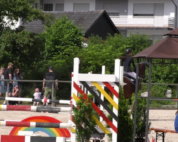 Reitturnier Mitwitz/Ofr. 2024