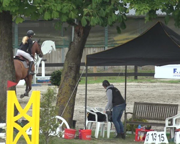 Reitturnier Breitenburg 2024