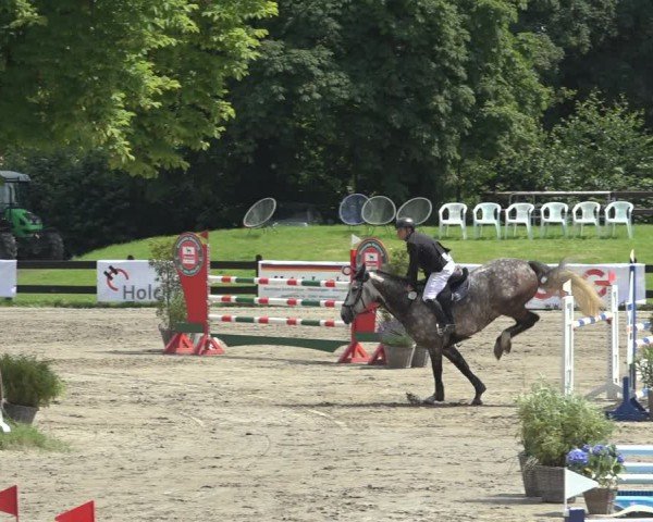 Reitturnier Breitenburg 2024