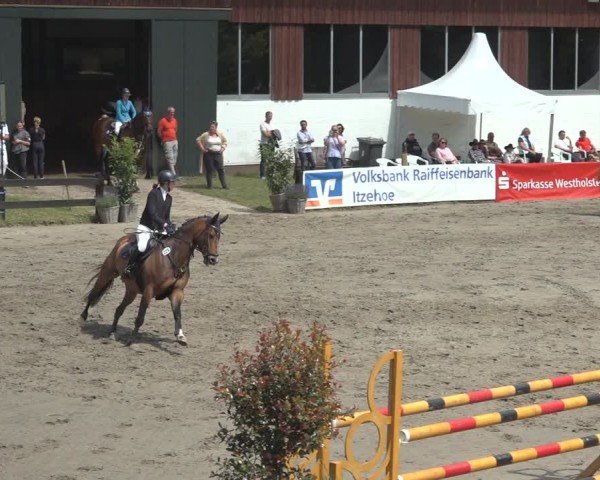 Reitturnier Breitenburg 2024