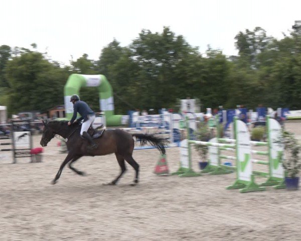Reitturnier Großenwiehe 2024