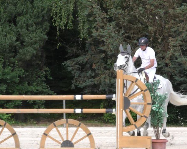 Reitturnier Mitwitz/Ofr. 2024